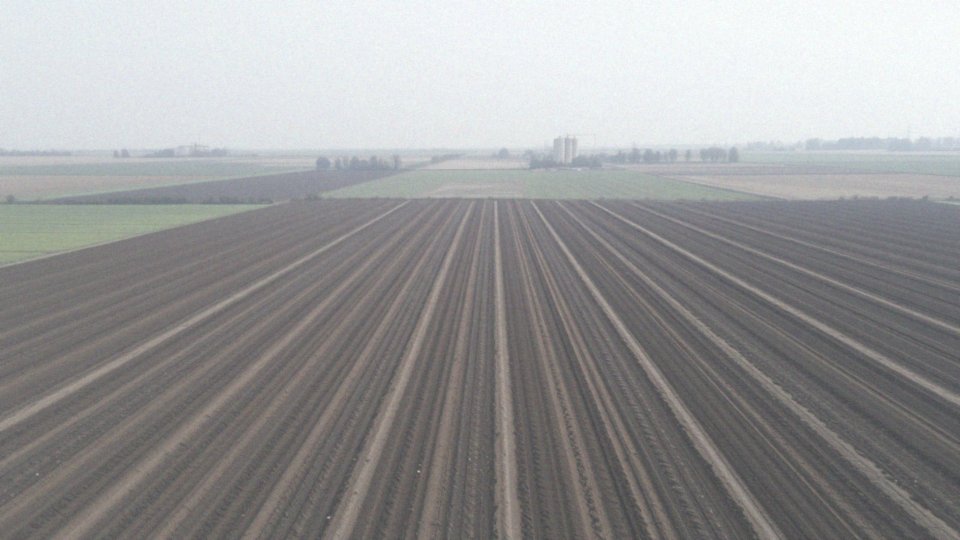 Jakie są najniższe ceny nawozów w Polsce?