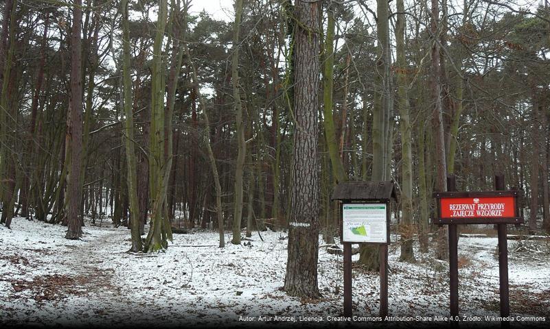 Rezerwat przyrody Zajęcze Wzgórze